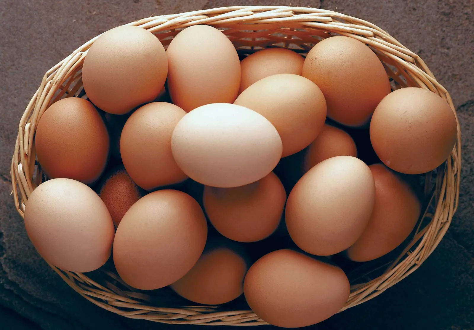 A Fan’s Guide To Conor Benn’s Eggs